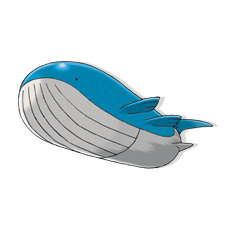 Artwork Wailord Ken Sugimori