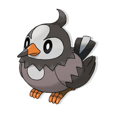 Artwork Starly Ken Sugimori
