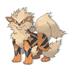 Artwork Arcanine Ken Sugimori