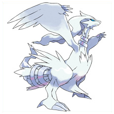 Artwork Reshiram Ken Sugimori