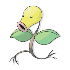 Artwork Bellsprout Ken Sugimori