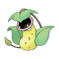 Artwork Victreebel Ken Sugimori