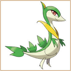 Servine Artwork Image