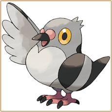 Pidove Artwork Image