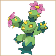 Maractus Artwork Image