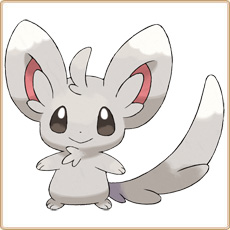 Minccino Artwork Image