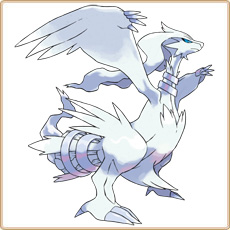 Reshiram Artwork Image