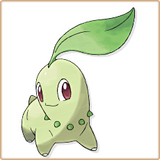Chikorita