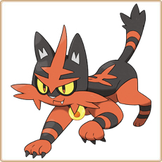 Torracat Artwork Image