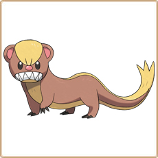 Yungoos Artwork Image