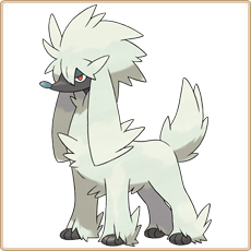 Furfrou Artwork Image