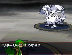 Reshiram Pokmon