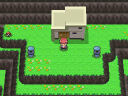 Tutor Pokemon Platino