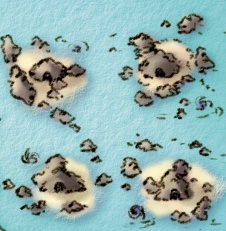 Islas Remolino
