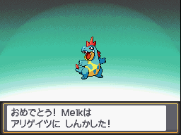 Ruta 33 y Pueblo Azalea