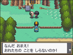 Ruta 33 y Pueblo Azalea