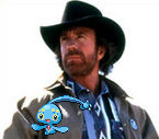 Chuck Norris