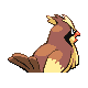 Sprite Pidgey