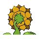 Sprite Sunflora