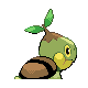 Sprite Turtwig