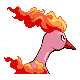 Sprite Moltres