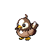Sprite Starly