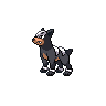 Houndour de Evento