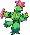 Maractus