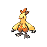 Sprite Combusken Blanco Negro
