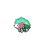 Sprite Shaymin Blanco Negro