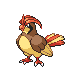 Sprite Pidgeotto