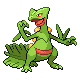 Estrategia Sceptile