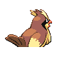 Sprite Pidgey