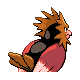 Sprite Spearow