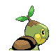 Sprite Turtwig