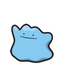 Ditto