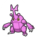 Heracross