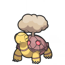 Torkoal