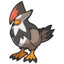 Staraptor
