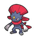 Weavile