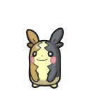 Morpeko