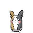 Morpeko