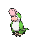 Squawkabilly