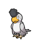 Squawkabilly