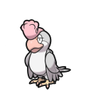 Squawkabilly