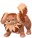 Dachsbun Shiny en Pokmon GO