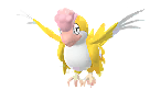 Squawkabilly<br />Plumaje Amarillo Shiny en Pok�mon GO