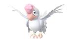 Squawkabilly<br />Plumaje Blanco Shiny en Pok�mon GO