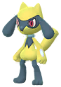 Riolu Shiny en Pokmon GO