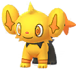 Shinx Shiny en Pokmon GO
